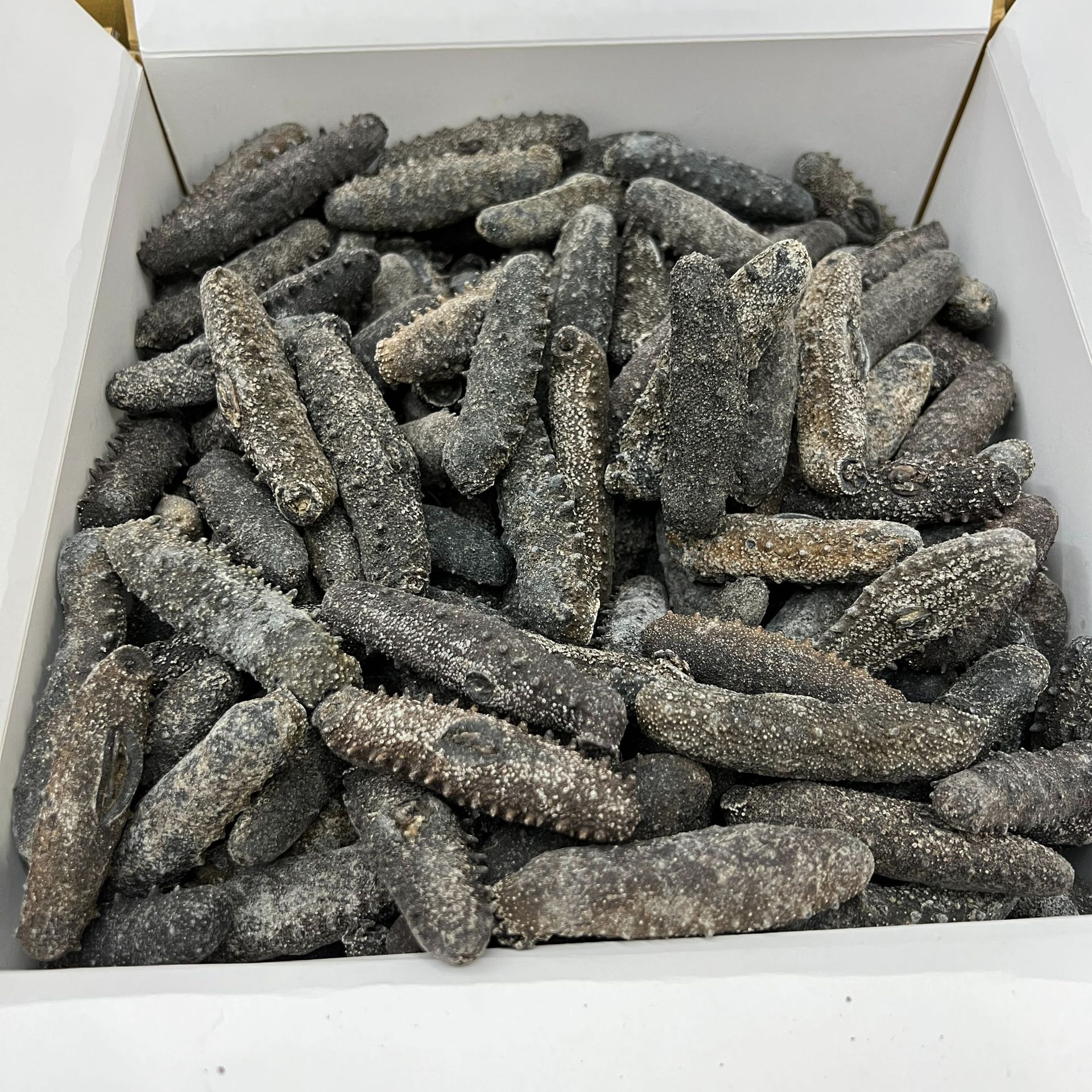 日本北海道天然野生关西参海参干货直销纯淡干辽刺参20-300头