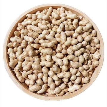 带壳珍珠小花生新货精选农家铁锅原味山核桃蒜香炒花生炒熟炒货