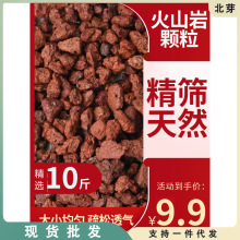 天然红色黑色火山石火山岩多肉颗粒土铺面石肉肉营养土种植土包邮