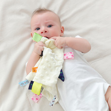 跨境婴儿豆豆绒标签安抚巾可入口玩具口水巾宝宝哄睡手偶玩具
