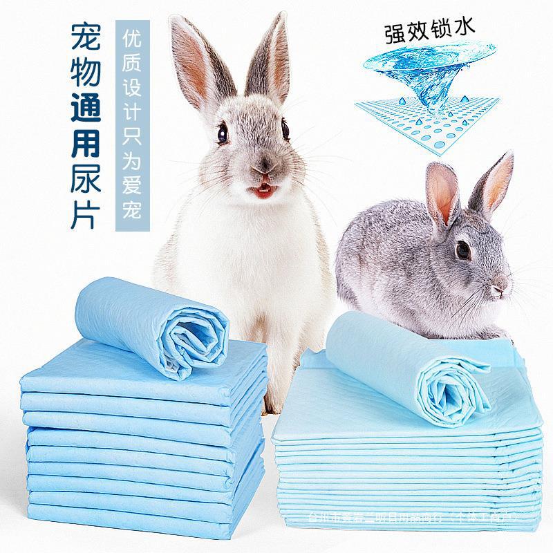 宠物兔子尿片 吸水尿垫 大号泰迪狗狗 加厚除臭 小号100片 特价