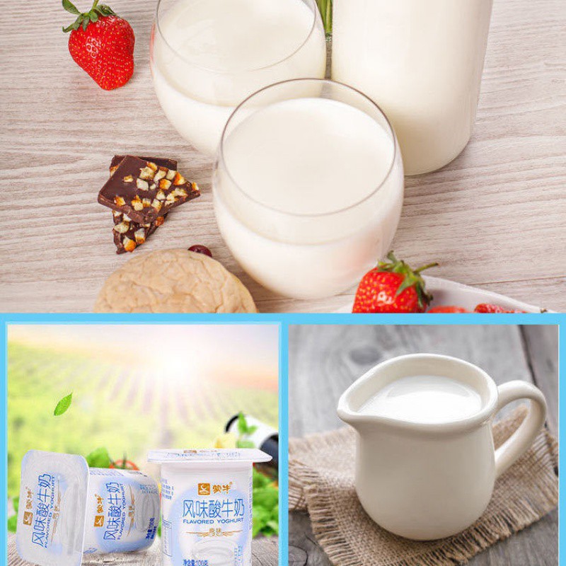【顺丰包邮】蒙牛原味酸奶益生菌发酵酸牛奶早餐奶代餐配餐奶