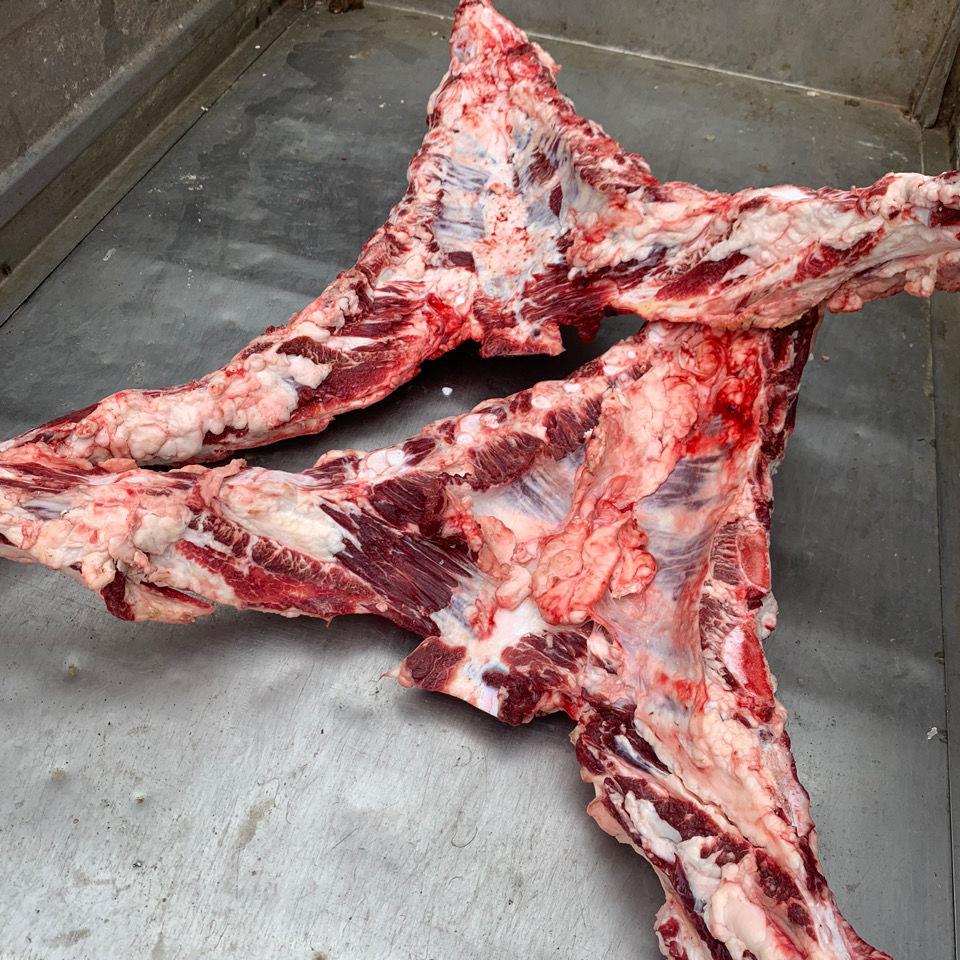 新鲜带肉黄牛骨 牛胸骨 飞机骨 黄牛带肉胸骨2斤装