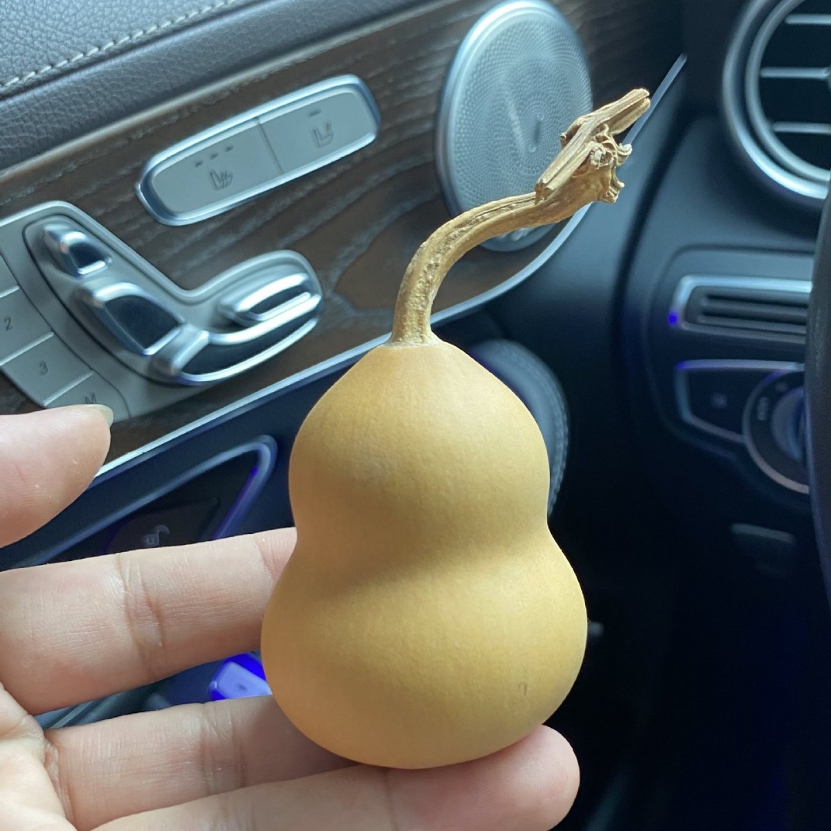 天然胖墩葫芦文玩胖梨形编制摆挂手把件绕指柔许愿小葫芦红书