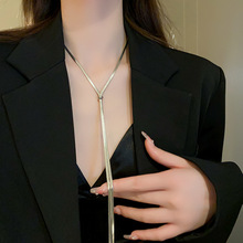 S925纯银项链女简约小众设计高级感气质冷淡风秋冬新款蛇骨毛衣链