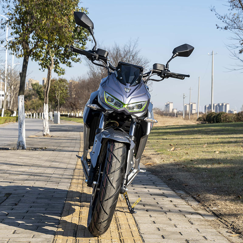 外贸批发电动摩托车电摩小蟒蛇男士酷炫电动摩托跨境出口