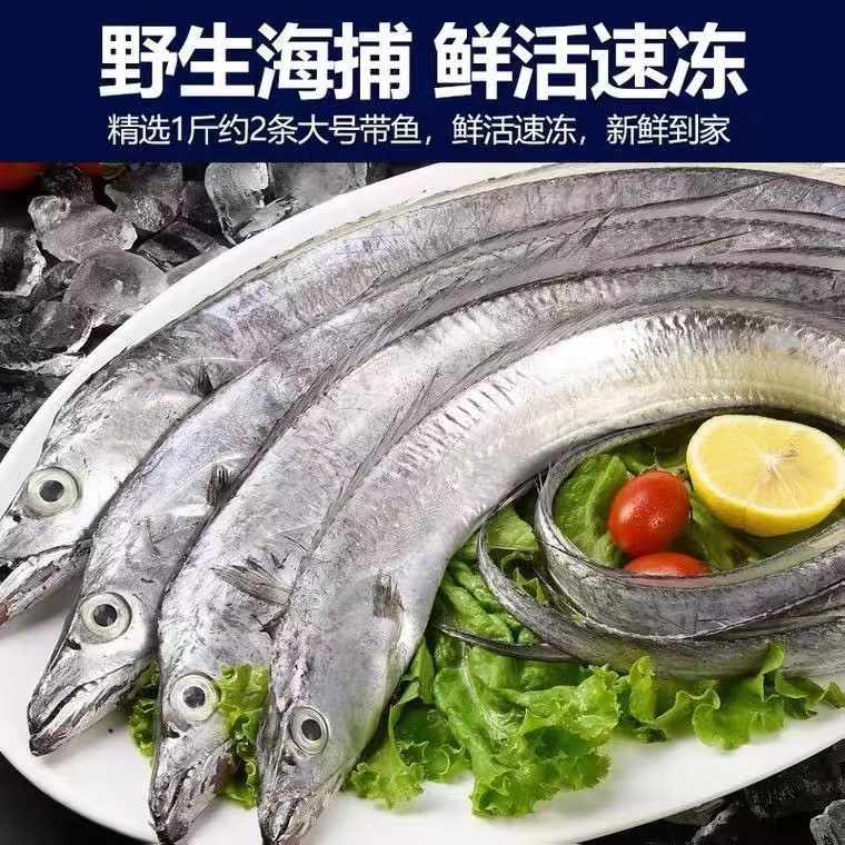 【鲜带鱼】-鲜带鱼厂家,品牌,图片,热帖-阿里巴巴