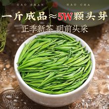 雀舌绿茶23新茶明前头采春茶湄潭翠芽一芽一叶厂工厂一件批发代发