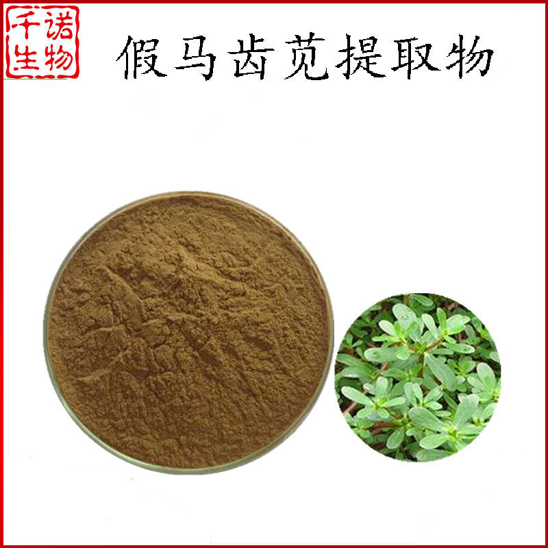 假马齿苋提取物30: 1假马齿苋提取粉 假马齿苋粉 千诺供应 公斤装