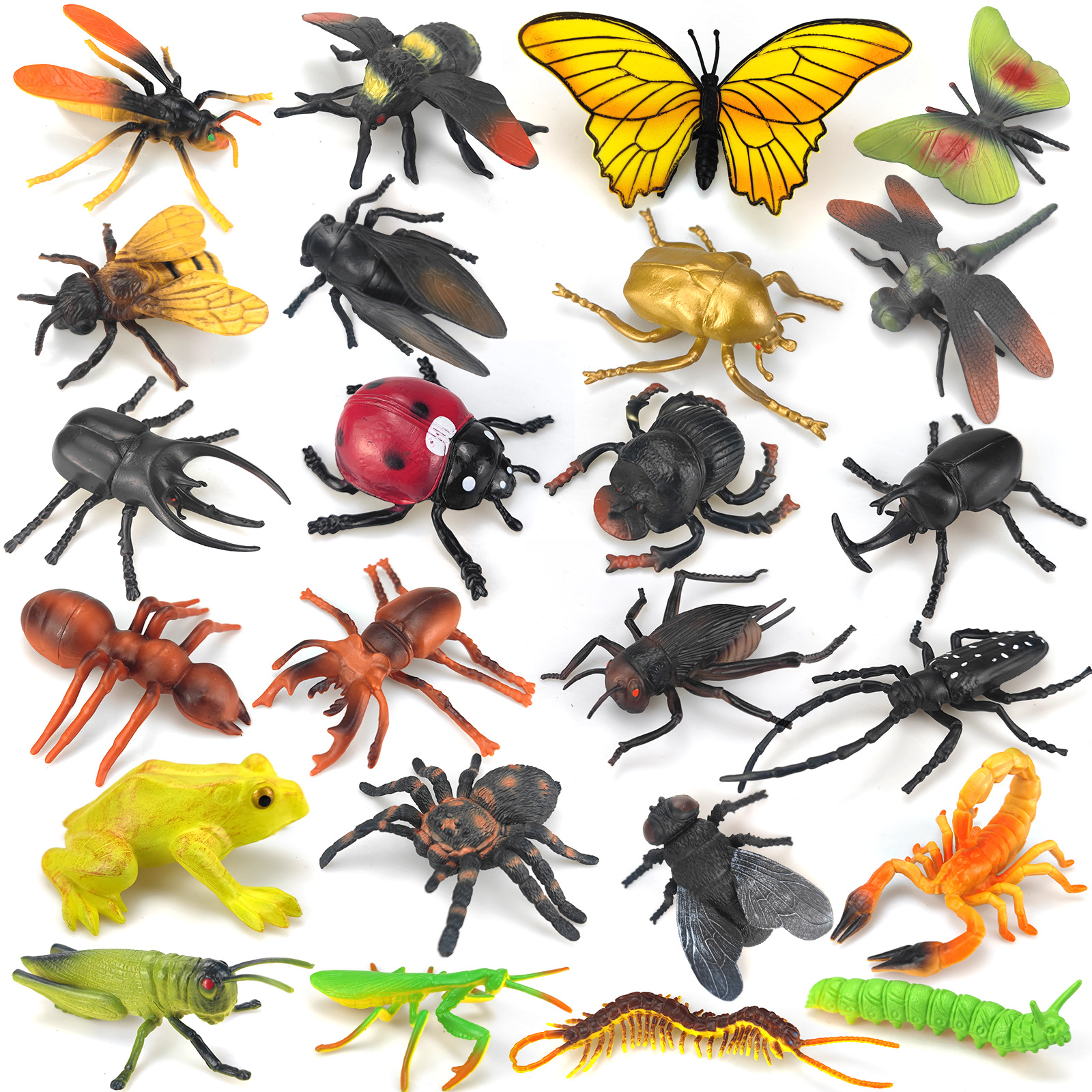 仿真昆虫模型蝴蝶七星瓢虫锹甲独角仙蜜蜂蝴蝶蚂蚱儿童玩具认知