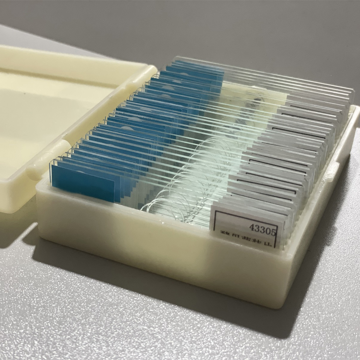 初高中教学生物切片标本动物植物实验室科学教具显微玻片