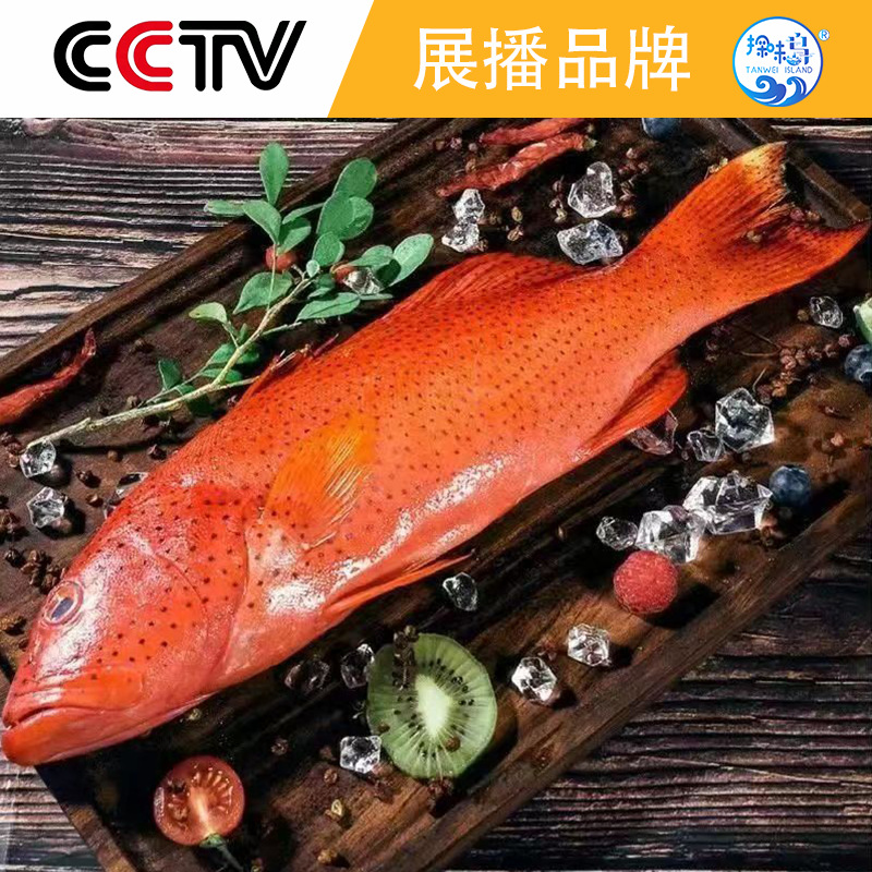 探味岛深海东星斑鱼纯天然海捕大冰鲜鲜活速冻大红星石斑鱼红斑鱼