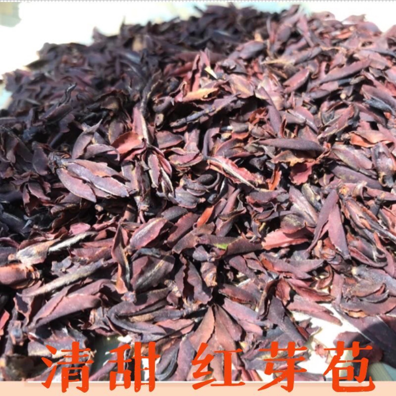 头春茶云南野红芽苞茶古树红芽孢茶普洱茶生茶野花香散茶一斤