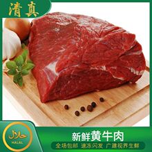 牛腱子清真新鲜牛肉农家牛肉牛腩牛腿牛里脊生牛肉火锅烧烤食材