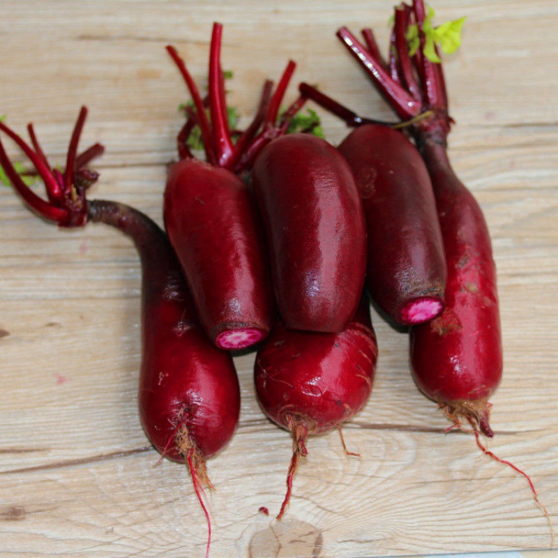 四川泡菜萝卜涪陵特产胭脂红皮新鲜红萝卜5斤新鲜蔬菜腌制1斤厂家