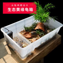 黄缘龟造景箱水陆龟苗红土垫材陆龟生态水造景养殖逃逸扩展乌龟箱