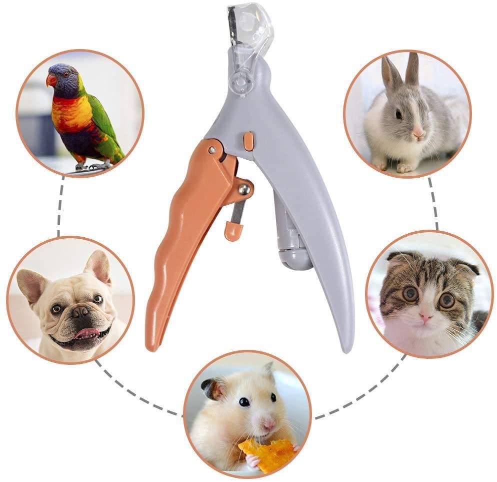 Cross-Border New Arrival Pet Nail Clipper Pet Led Nail Clippers with Light Dogs and Cats Nail Clippers Lamp with Magnifier