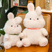 可爱小白兔毛绒玩具小兔子8寸精品抓机娃娃女孩安抚玩偶儿童礼物