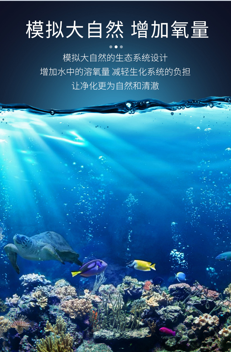 红海星蛋分sq50 sq70 sq90 dc70 dc90 蛋分 海水内置蛋白质分离器