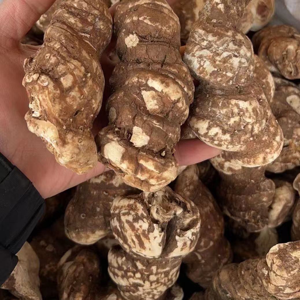 滇重楼七叶一枝花新货不熏染农产品药材原料重楼粉沫蚤休批发