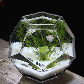 多面体个性斗鱼缸创意桌面玻璃鱼缸热带鱼缸加厚超白鱼缸
