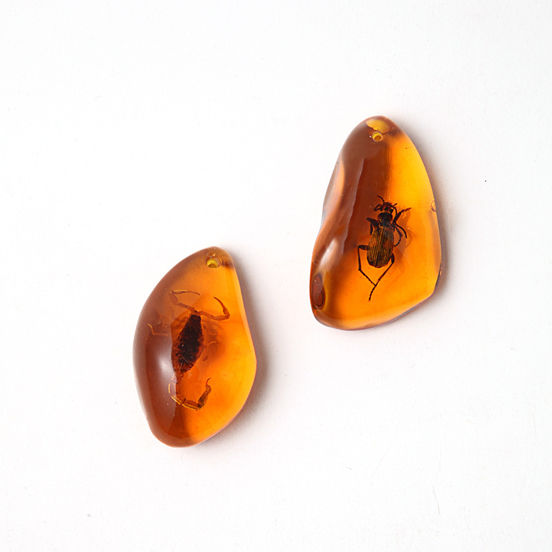 《厂家直销批发》真昆虫琥珀挂件 盲盒吊坠配件 教学科普标本