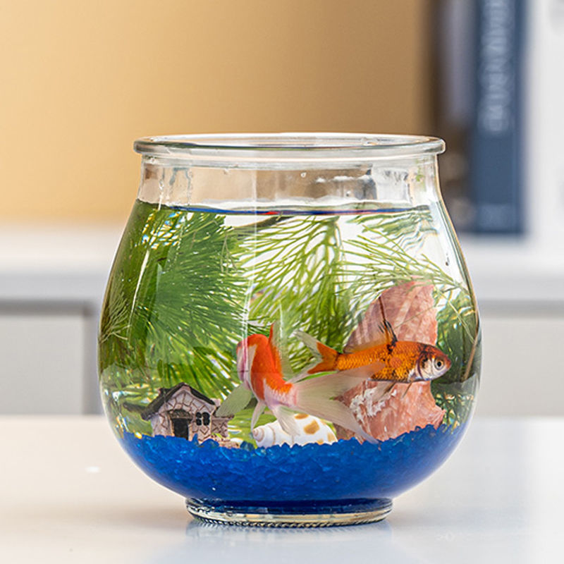 懒人生态鱼瓶玻璃鱼缸微景观办公桌面摆放迷你植物好打理做微商零食