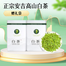 源产地安吉白茶春茶250g 2024明前嫩芽新茶 简装散装珍稀送礼绿茶