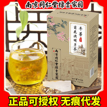 南京同仁堂绿金家园牛蒡菊花决明子茶枸杞金银花熬夜茶初仁堂正品