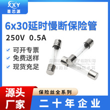 厂家直供 6x30玻璃保险丝管 250V 0.5A 延时慢断带锡芯电源保护器