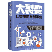 大裂变社交电商与新零售平装私域流量的突围策略渠道下沉的新机遇