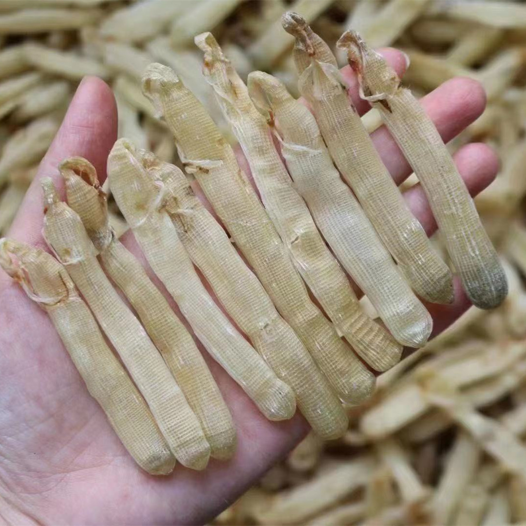 北海特产 海鲜干货沙虫干 煲汤沙虫龙潭沙虫干干货海鲜批发250g