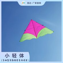 2024新款小轻体风筝伞布碳素杆三角风筝儿童成人微风好飞潍坊风筝
