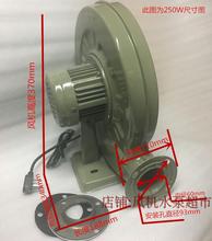 ZZ8N批发离心式中压低噪音吹风机CZR60/80 灶台风机 鼓风机 550W