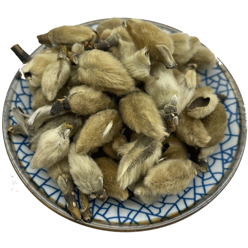 河南辛夷非野生中药材望春花木笔花迎春花毛辛夷姜朴花无硫代发