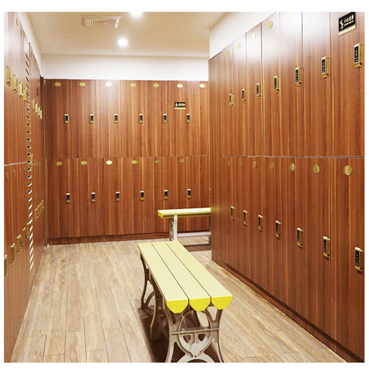 更衣柜 洗浴中心桑拿木质更衣柜 健身房员工汗蒸房浴室桑拿换衣柜