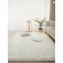 毛毯地摊白色地毯卧室坐垫拍照色风长毛毛绒地垫客厅飘窗床边毯