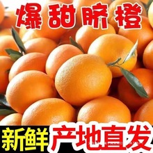【爆甜】橙子新鲜脐橙当季水果手剥橙甜橙整箱批发非果冻橙血橙