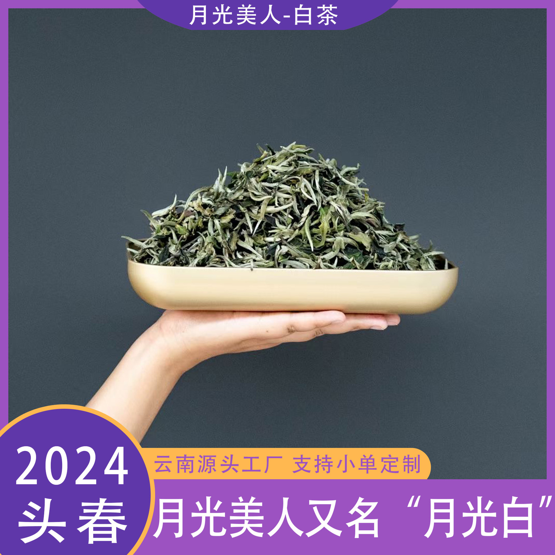 云南普洱茶源头厂家直供2024年古树普洱茶月光美人白茶茶叶批发