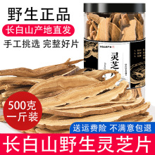 云南野生灵芝赤灵芝红灵芝正宗野生灵芝整枝_阿里巴巴找货神器