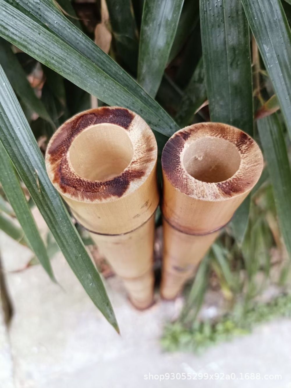 北京竹笛萧料 金毛竹萧料 福建桂竹萧料 杭州石竹萧料