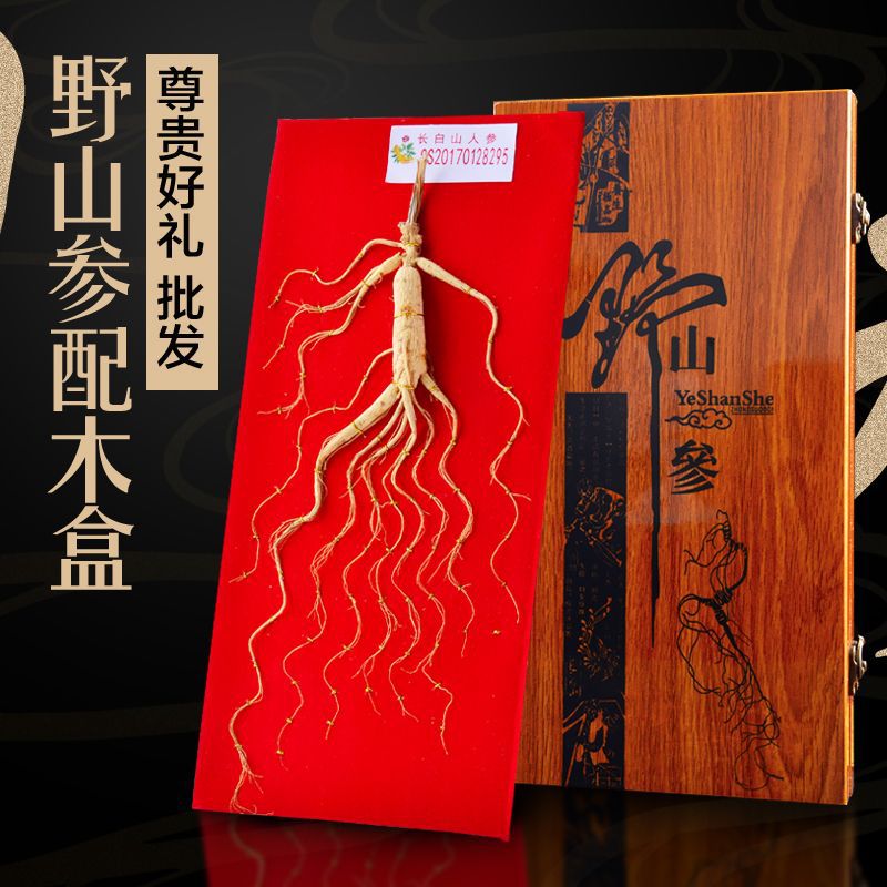 人参东北人参野山参礼盒装长白山野山参林下参人参长白山人参礼盒