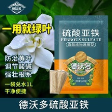 德沃多硫酸亚铁花肥料喜酸植物栀子花茶花桂花水溶肥防黄叶家用肥