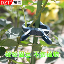 跨境绿色园林夹20pcs番茄花卉花园亚马逊塑料植物固定夹园艺夹子