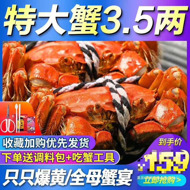 活蟹10只大闸蟹螃蟹鲜活特大可全公母新鲜水产清水阳澄湖镇大闸蟹