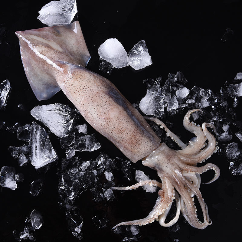 深海野生鲅鱼-深海野生鲅鱼厂家,品牌,图片,热帖-阿里巴巴