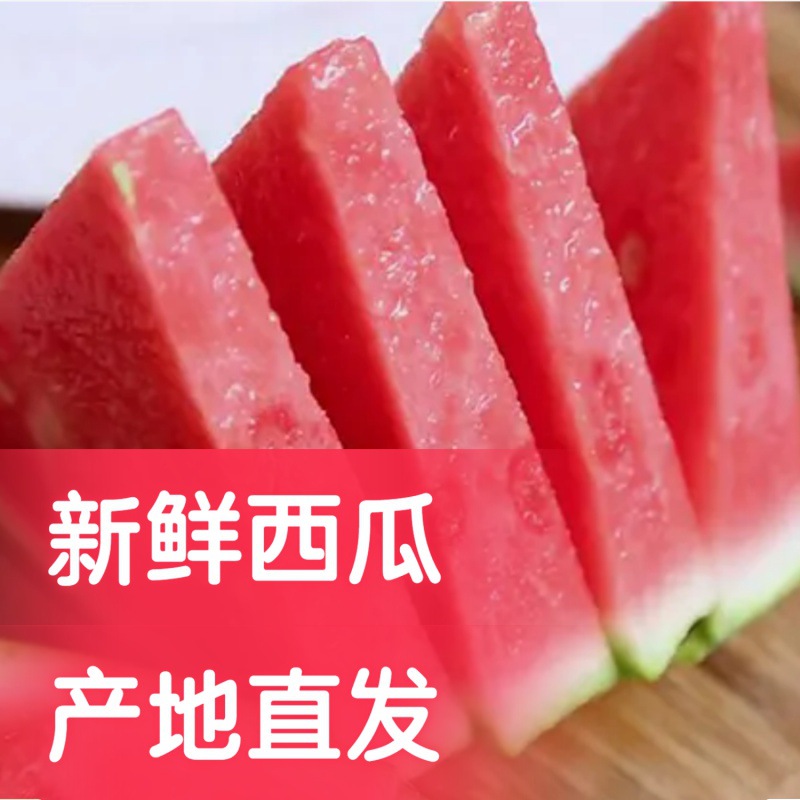 水果西瓜批发冰糖麒麟瓜8424当季新鲜脆甜现摘薄皮甜瓜跨境独立站