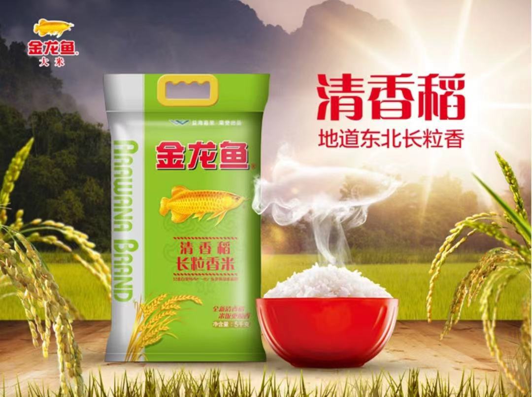 金龙鱼清香稻长粒香米5kg 袋 东北大米 长粒米 粳米 10斤大米