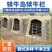 犊牛岛牛犊犊牛屋子小牛饲养围栏隔离防雨采食喂奶桶养殖单独保护