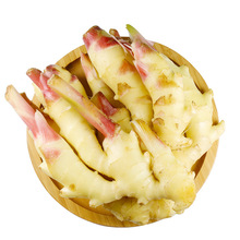 红芽嫩姜 红爪姜3斤新鲜生姜仔姜糖醋泡姜腌蔬菜批发代发鲜姜